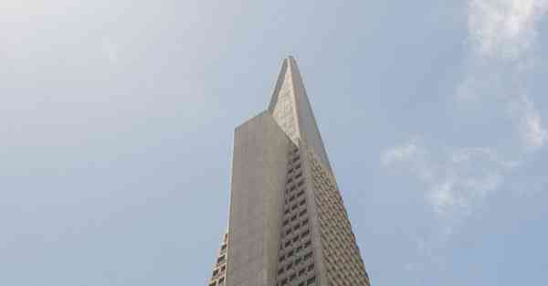 中药材种植技术专业_中药材种植技术专业知识