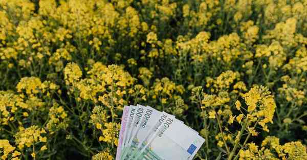 电影宣传视频小短片_电影宣传视频大全