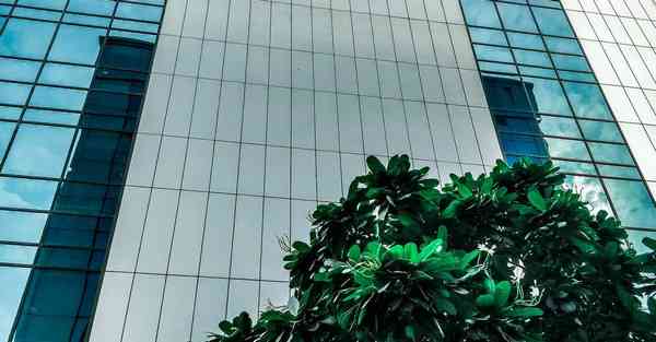 制作宣传标语牌_制作宣传标语牌教案