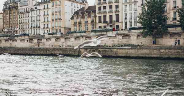 电子宣传片海报制作