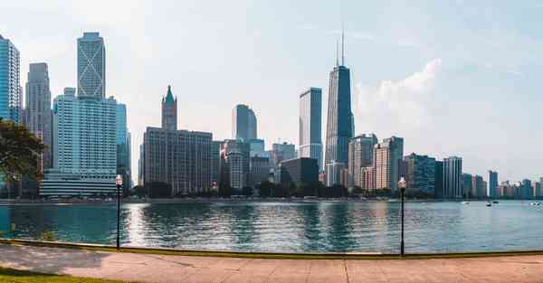 电影宣传把狗看哭了