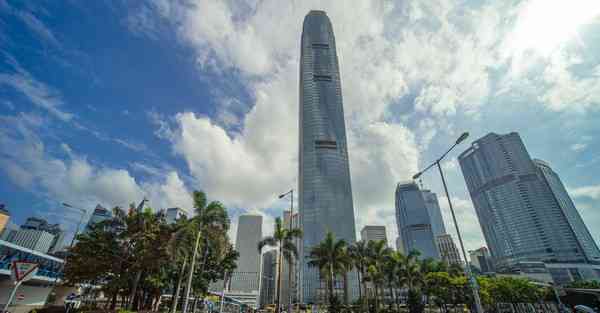 怎样制作红烧牛蹄筋_怎样制作红烧肉的方法