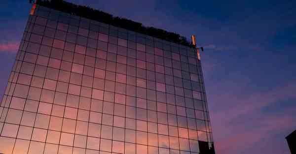 传统艺能是什么样子_传统艺能是什么梗