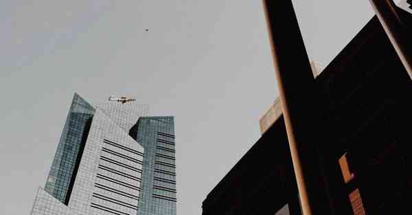 游戏排行榜手游2023