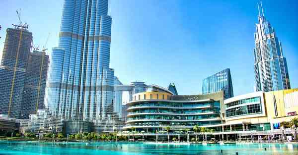 传统艺能打一生肖