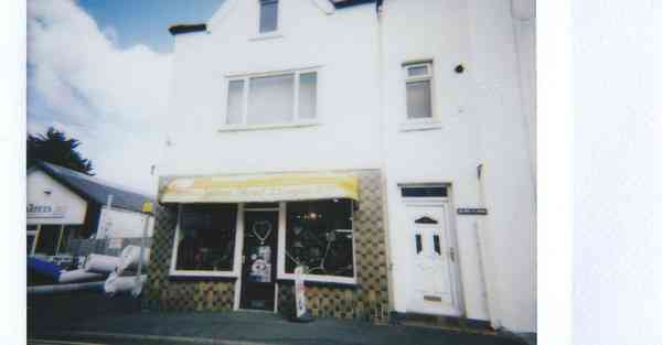 游戏大神是学霸txt下载