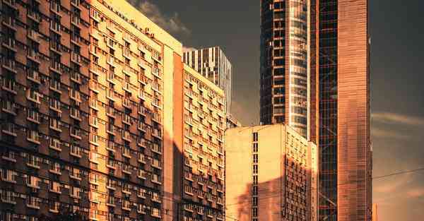 电影票房实时排行榜猫眼2025