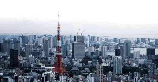 爆款短视频推荐剧排行榜第一名