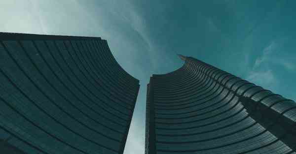 真正的五常大米是真的好吃吗