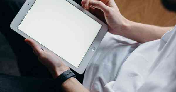 电影宣传把狗看哭了