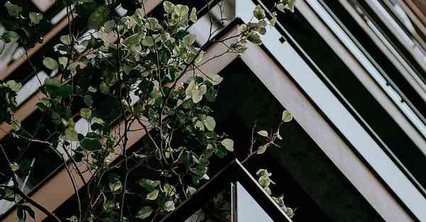 怎么制作网盘视频_怎么制作网