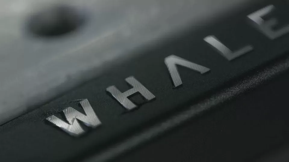 微鲸55英寸工厂视频