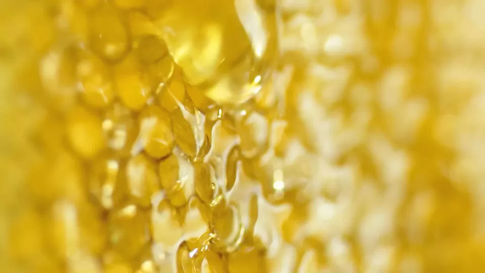 Anderson15秒+麦卢卡蜂蜜月饼